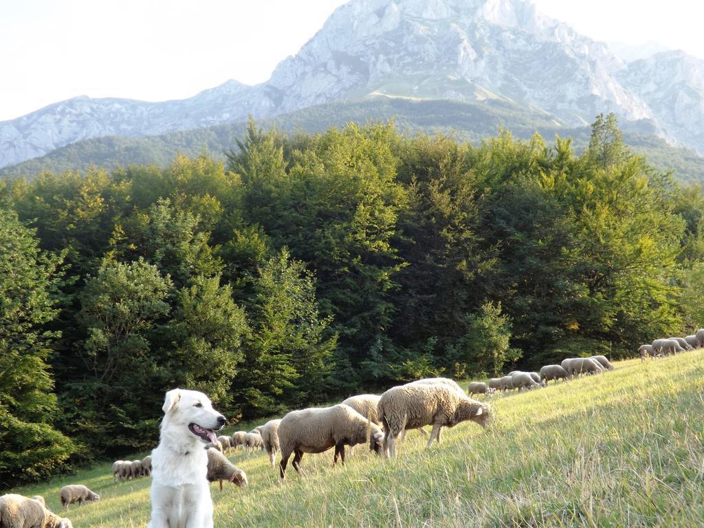 Agriturismo Lu Formaggio Castelli Exterior foto